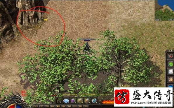 沃玛森林公园里的小动物们